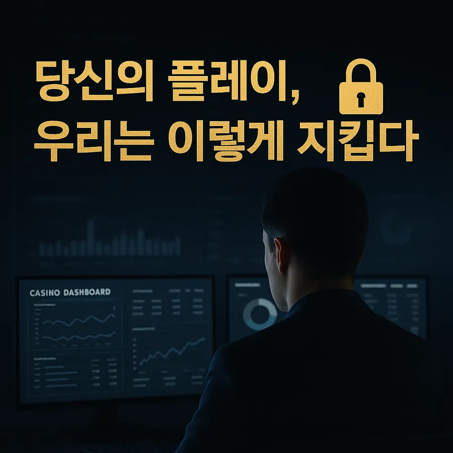The Operator's Perspective, Explained by the Parazone Team